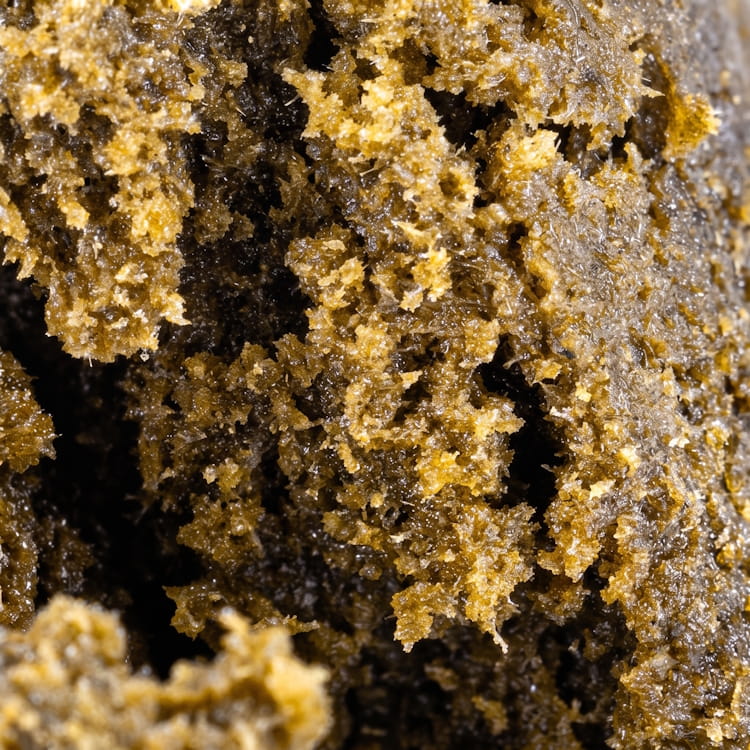 Dry Sift Static THCA hash